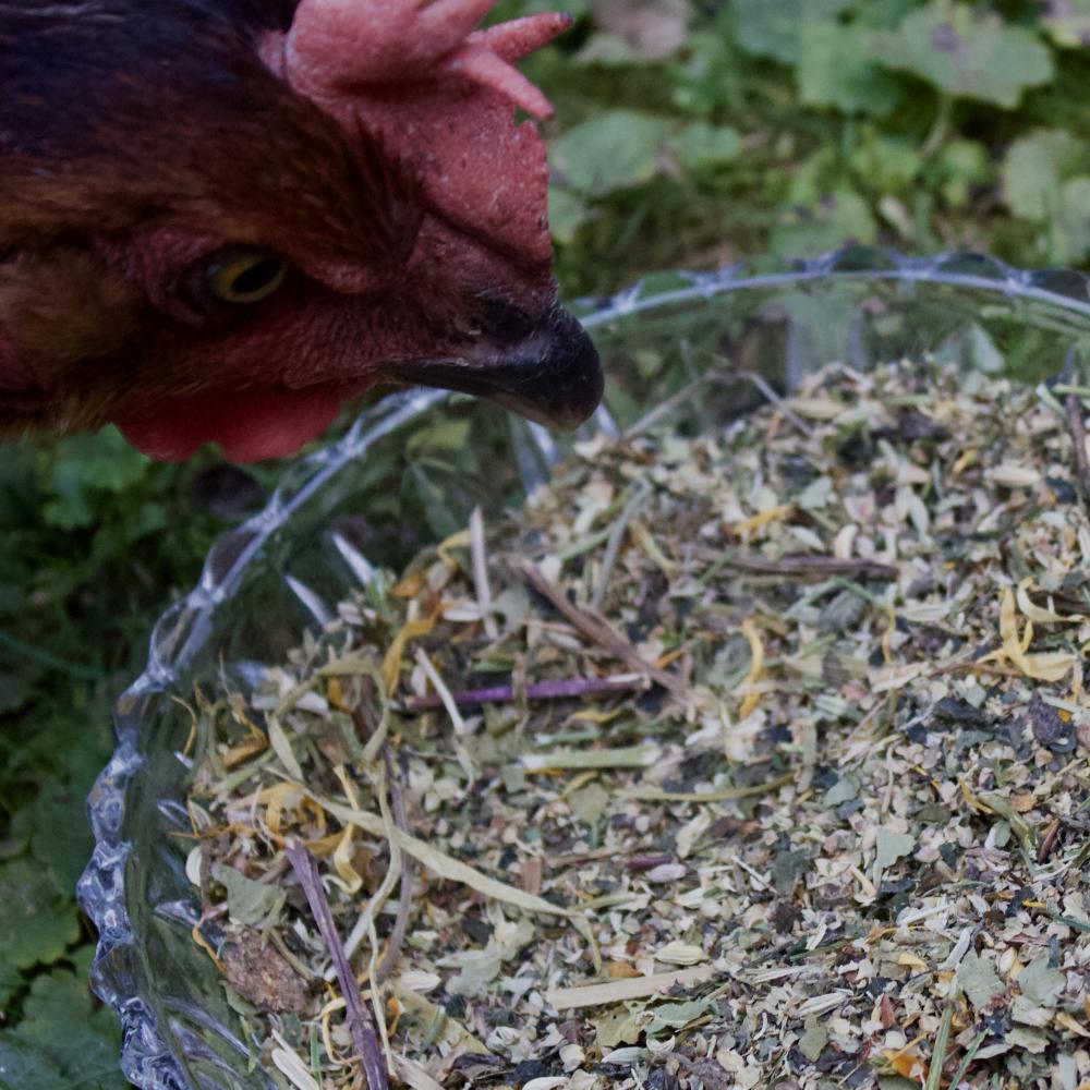 Preview: Trudes Dottergold Mix